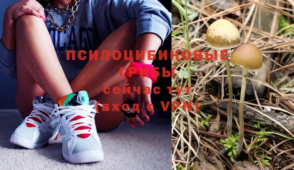 таблы Аркадак